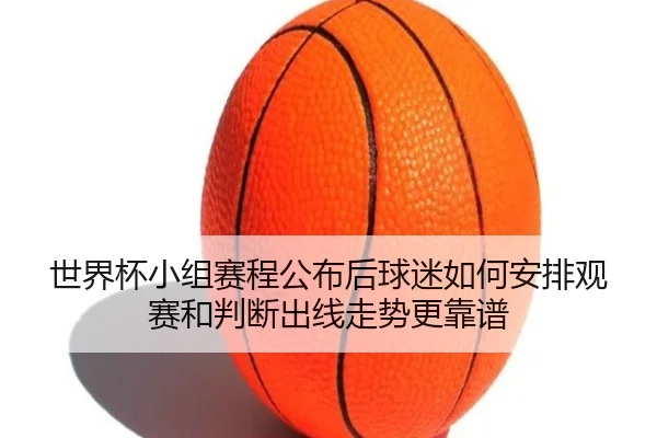 世界杯小组赛程公布后球迷如何安排观赛和判断出线走势更靠谱